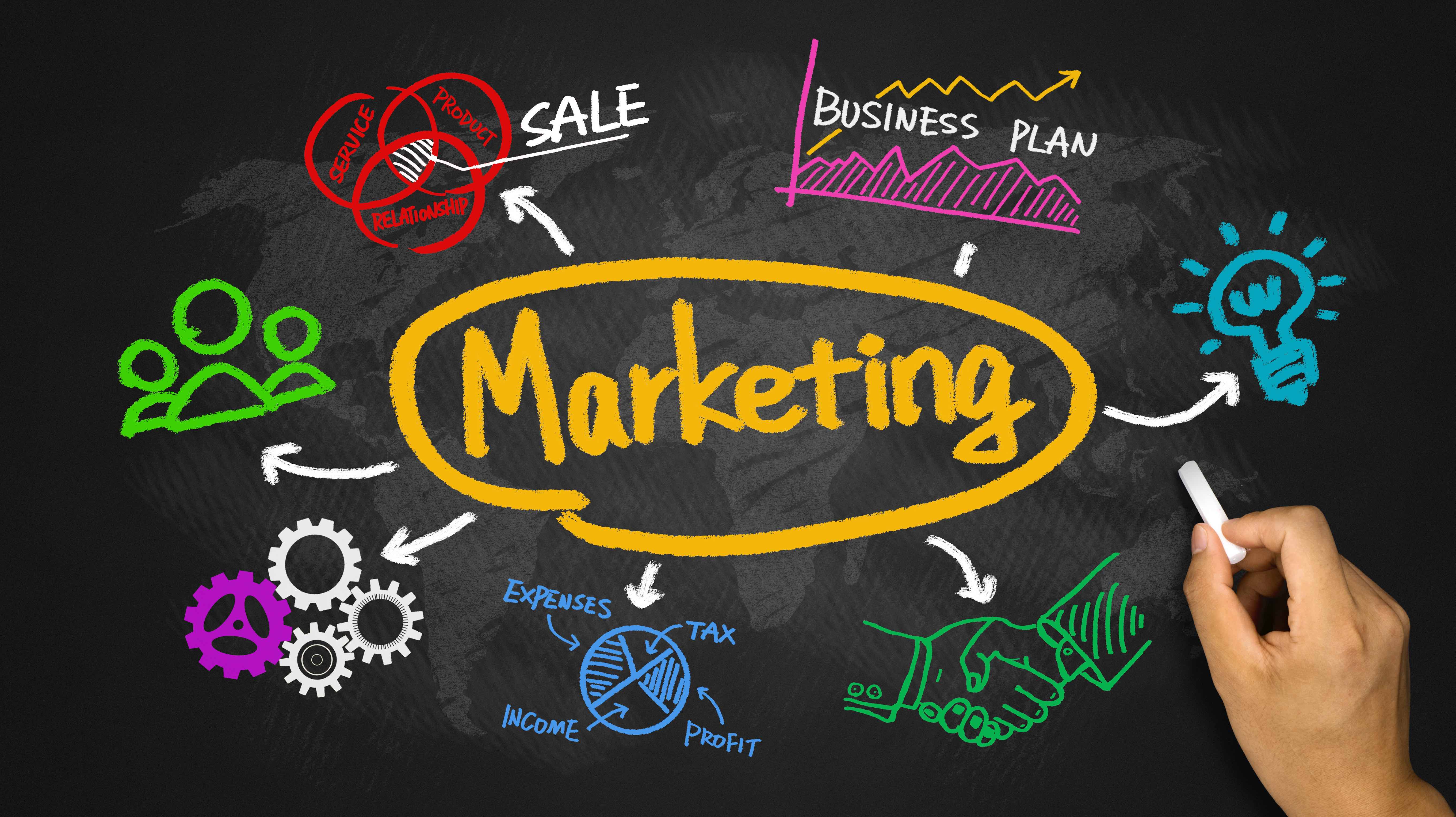 What is Niche Marketing and How Do You Market a Niche Website?